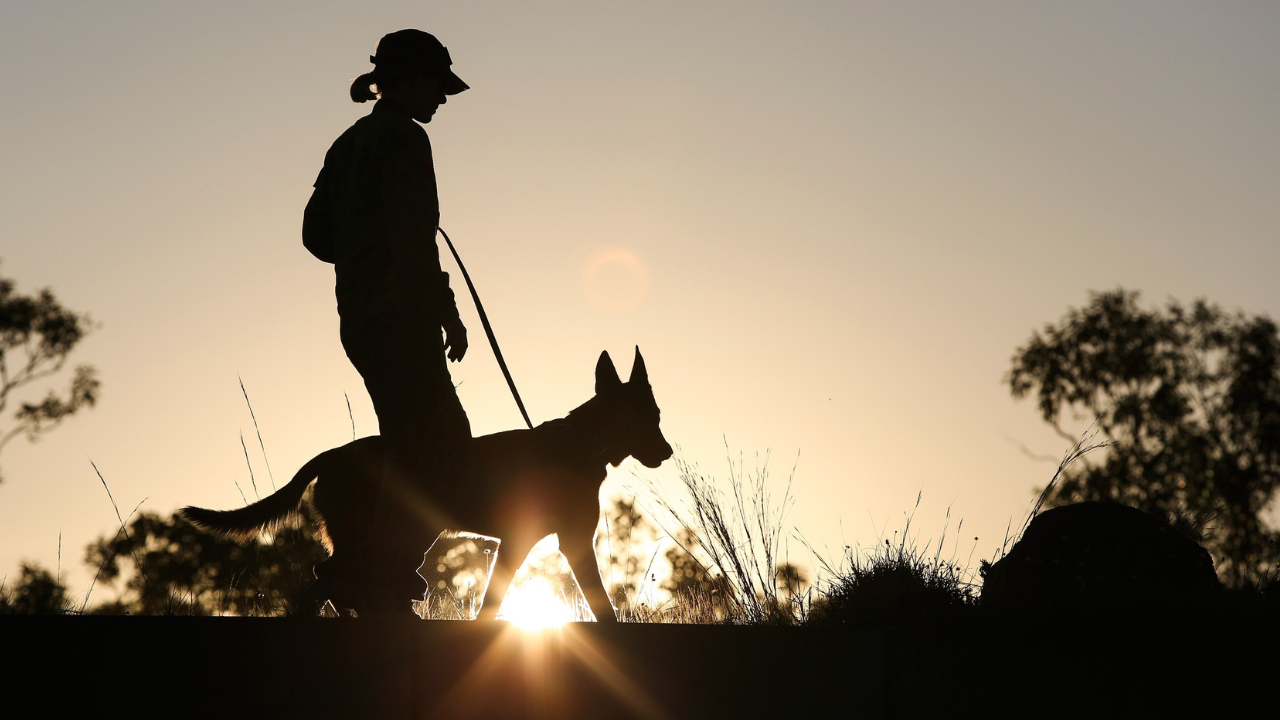 Woman walking dog